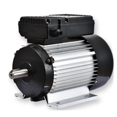 YL Series Aluminum Housing 1.5Kw Ie2 China Electric Motor Single Phase Electrical Motor