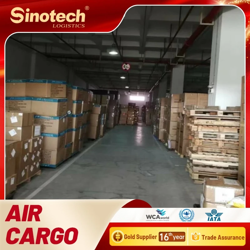 International Truck Shipping Ddp Forwarder Agent China To Germany Door To Door Fba