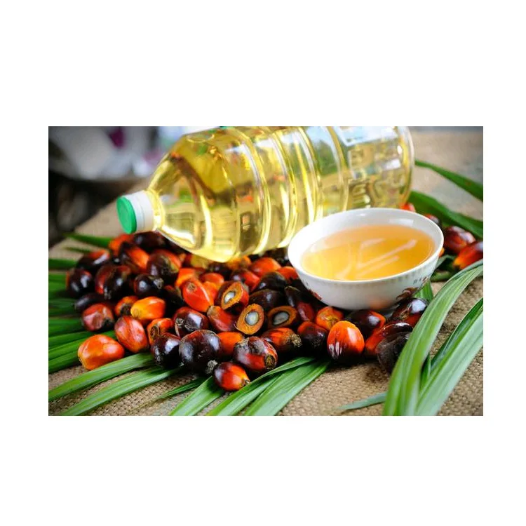 Top Quality Wholesale Refined Palm Oil at Best Price