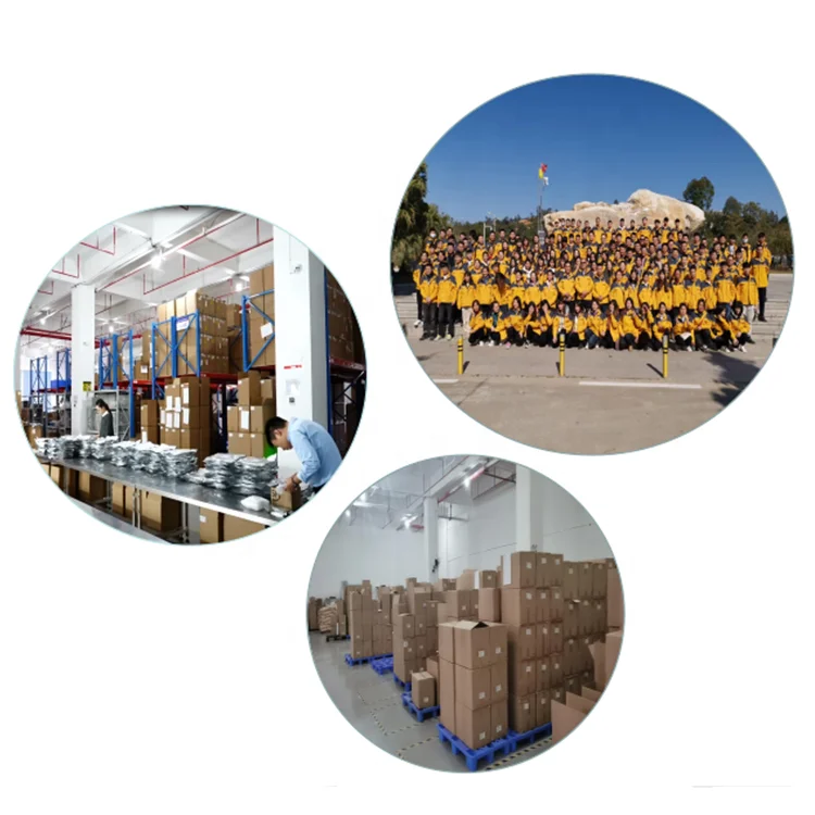 Factory Directly Supply White Light Led 2835 Smd Led Chip