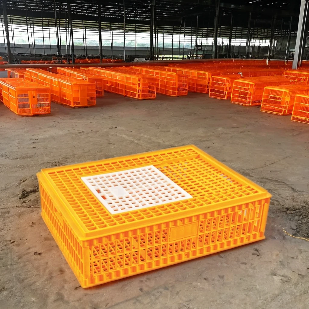 Portable Plastic Poultry and Pigeon Bird Transport Crates New Condition Quail Cage and Pigeon Box for Home Use and Retail