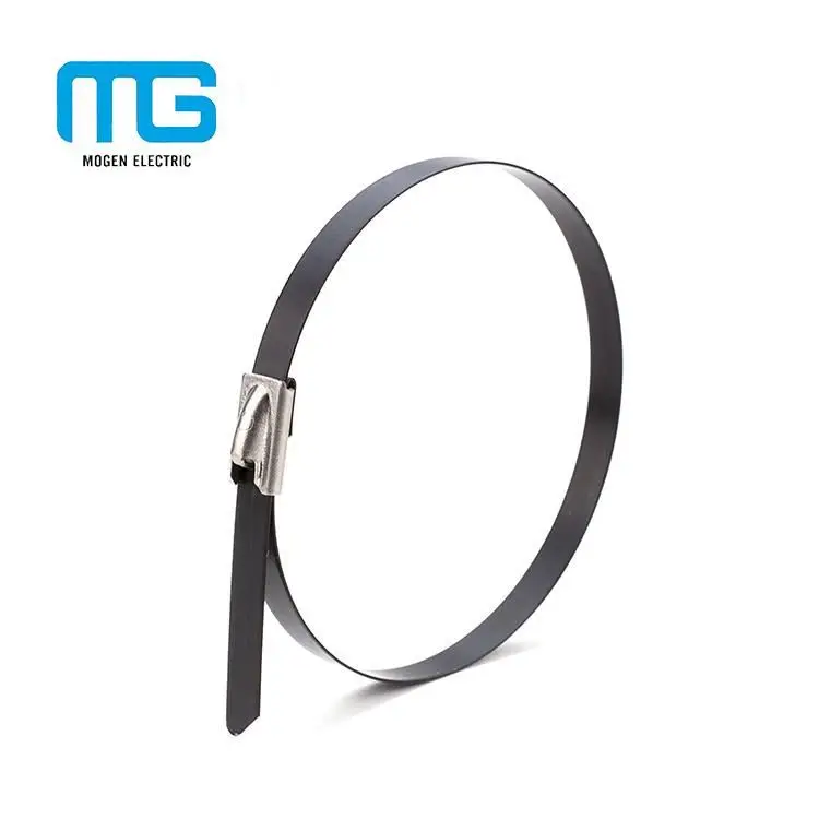 Black stainless steel cable tie