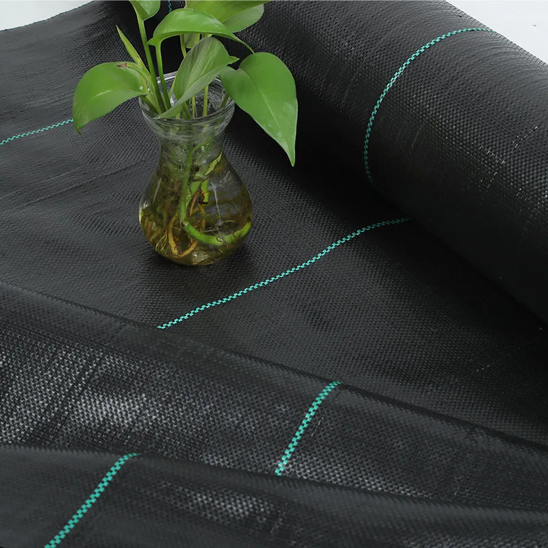 Custom-Size PP Woven Membrane PE Ground Cover Mesh Weed Mat Roll Anti-Grass Control Cloth for Garden Supplies Mulch Film