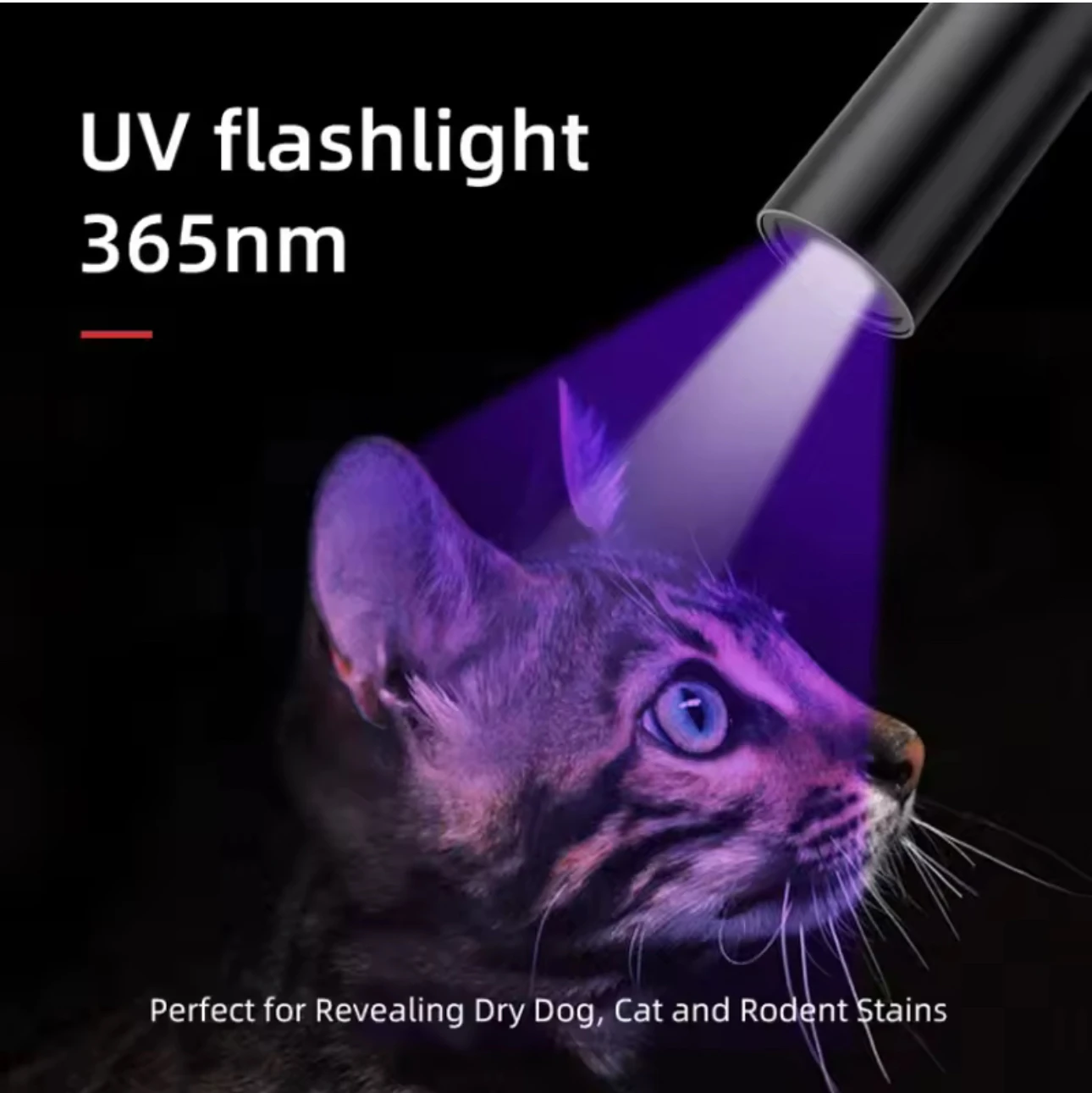 Фабрика SFC УФ-излучатель Черного зеркального фиолетового света 365nm AA USB яркий флуоресцентный агент Обнаружение ручки фонари факелы