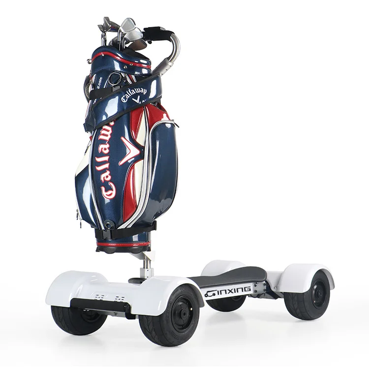 4 Wheel Electric Golf Scooter Cheap Adults Foldable 2000W Self-Balancing Electric Scooters Dual Motor Off Road Electric Golf Car