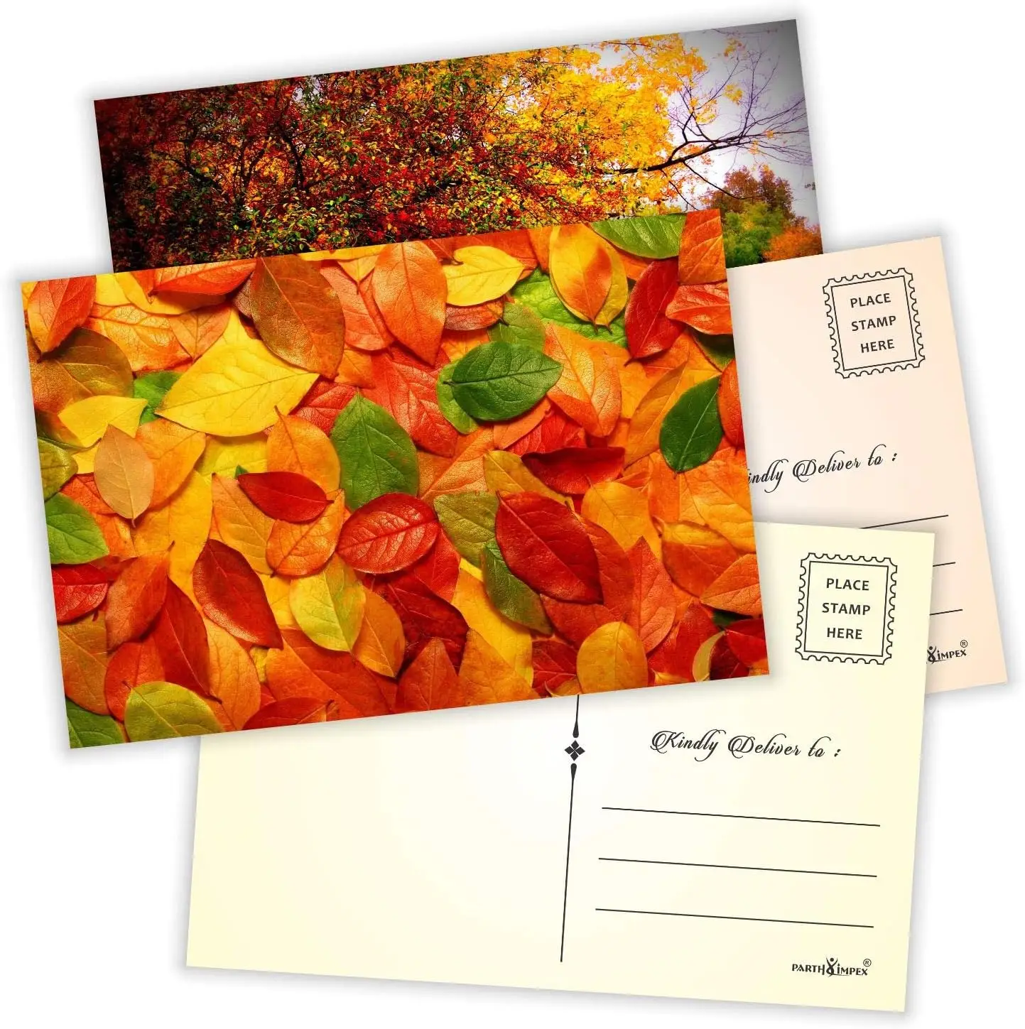 Travel Postcards for Wall Decoration Seasonal Nature Postcards Seasonal Theme with Mailing Side - all Occasion Cards
