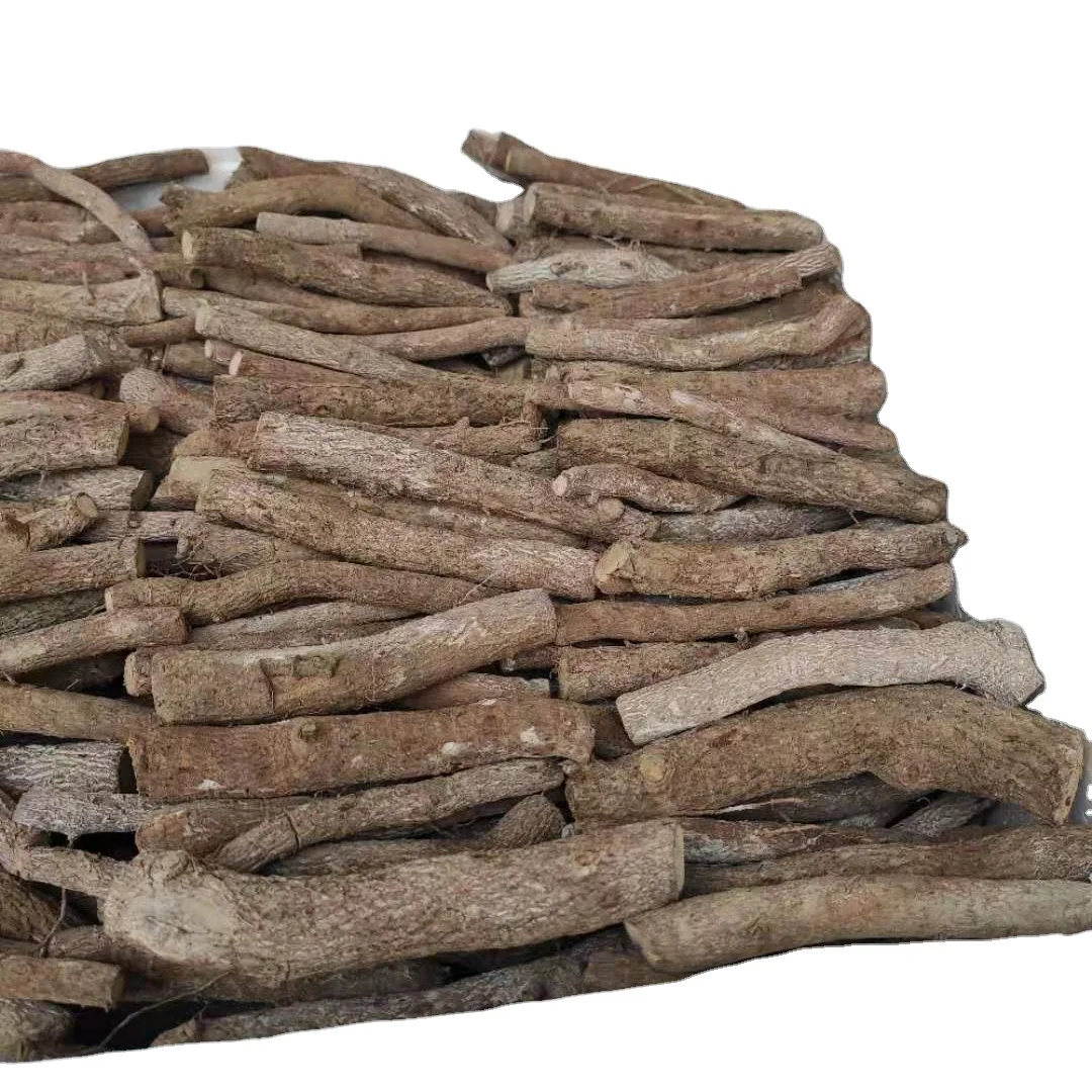 
Fresh live paulownia elongata tree roots segments 