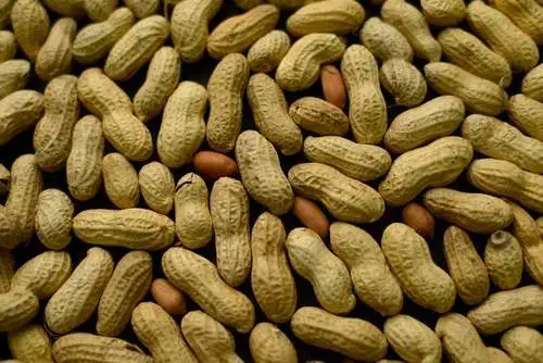 Best Quality Organic Peanuts