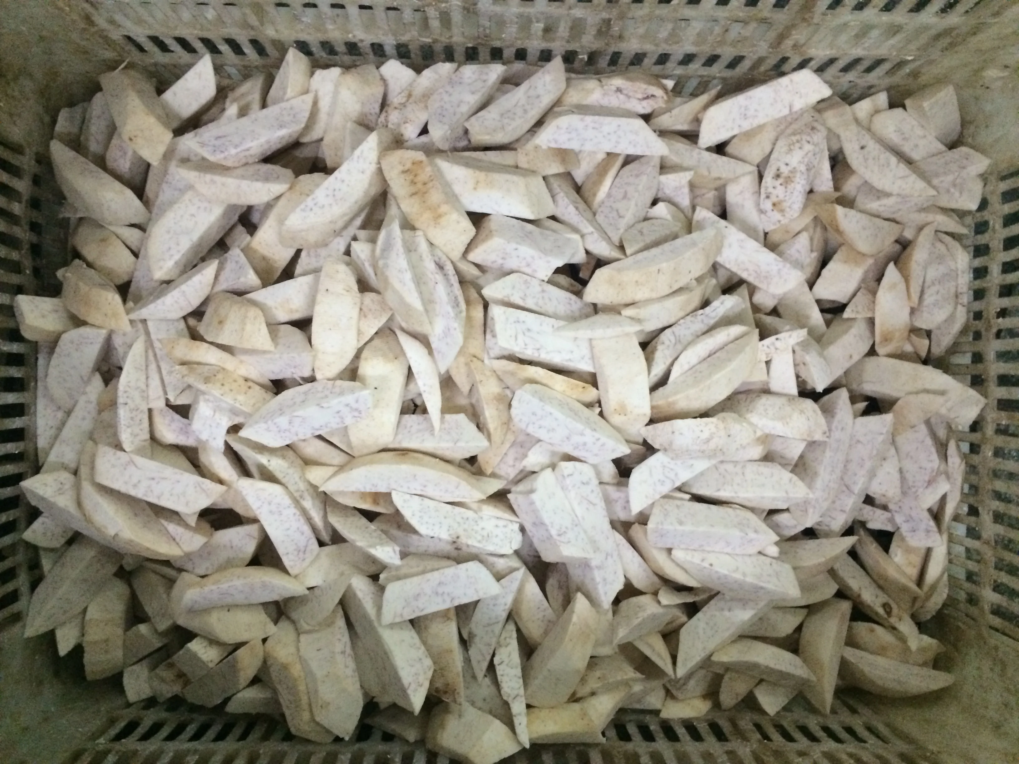 KWS Peeled Frozen IQF Taro with Balls Slices Halves Chunks Cubes Strips