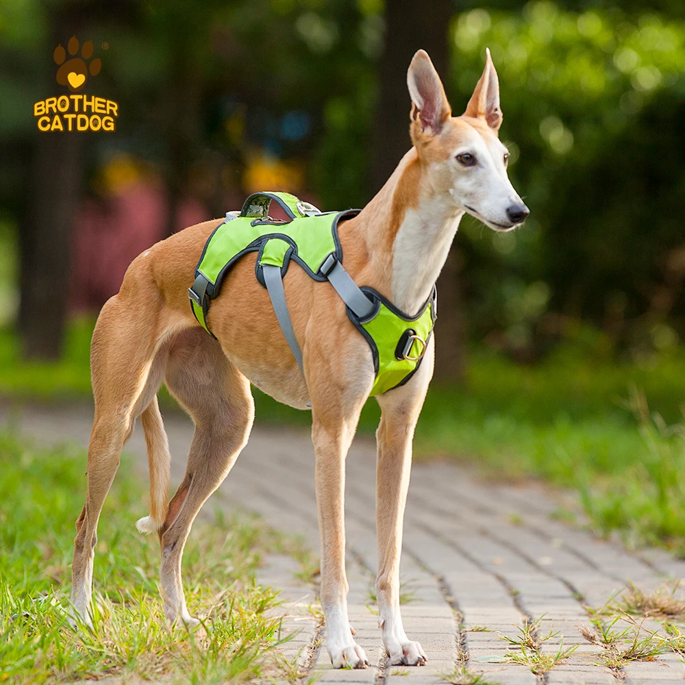 Fashion personalized design soft mesh padded luxury dog tactical adjustable reflective safety dog harness