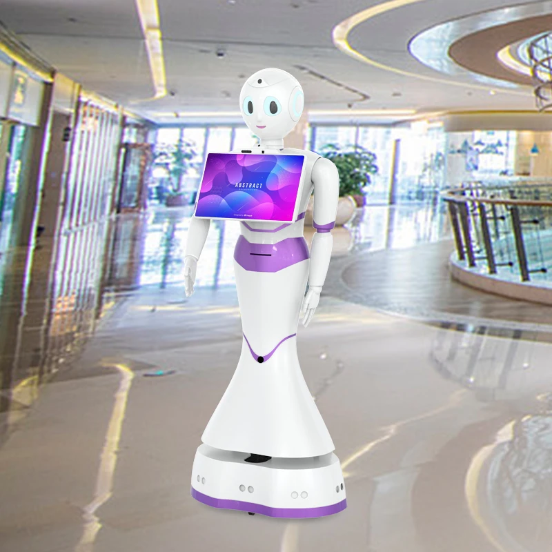 Intelligent Humanoid Robot Walk and Talk for Public Place Reception Guide Service Robot showroom ChatGPT for Voice robot