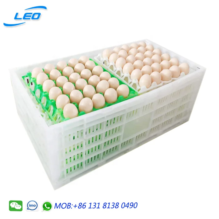 New type plastic egg crate egg transport box