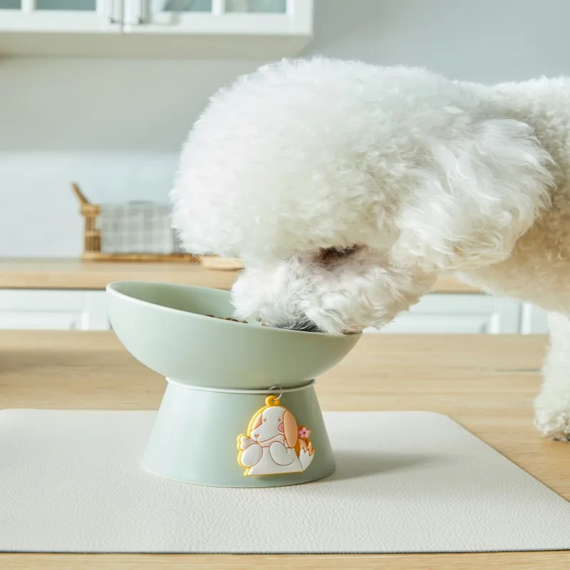 UFBemo Amazon Hot Selling Pet Ceramic Bowl Tall Slant Flat Raised Bowl for Cats and Dogs Ceramic Pet Bowls and Feeders