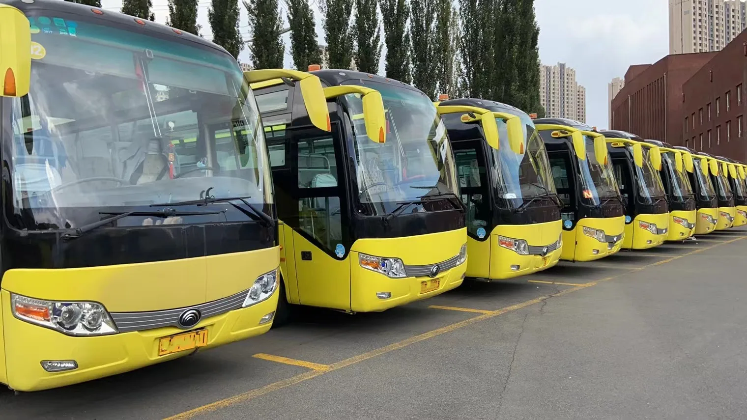 Самый продаваемый Подержанный автобус с двигателем Yuchai 60-местные подержанные автобусы и роскошные туристические