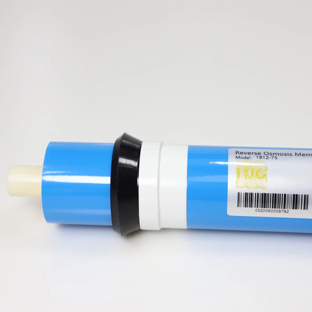 75 GPD Domestic Electric 24 V Stainless Steel RO Booster Pump for Reverse Osmosis Membrane