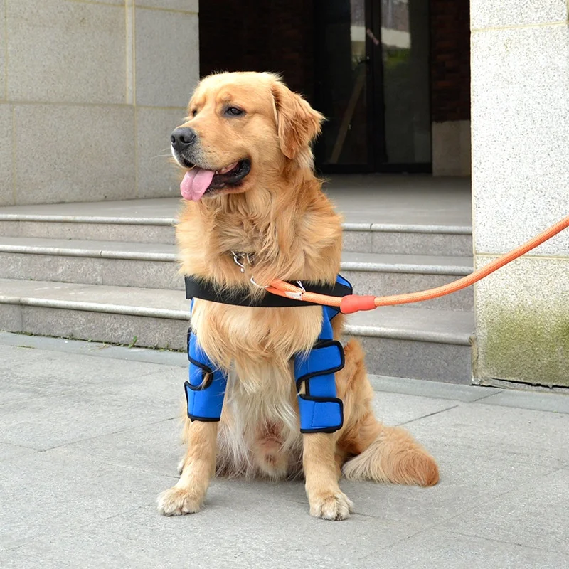 New design dog shoulder brace front leg canine elbow protector prevents injuries