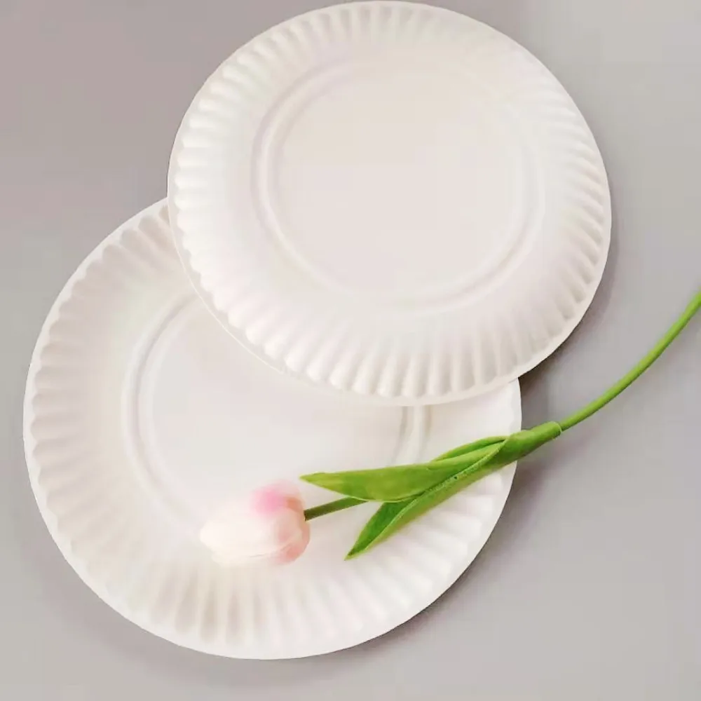 paper plate manufacturer biodegradable plates laminated 9 inch disposable wholesale elegant disposable plates for weddings