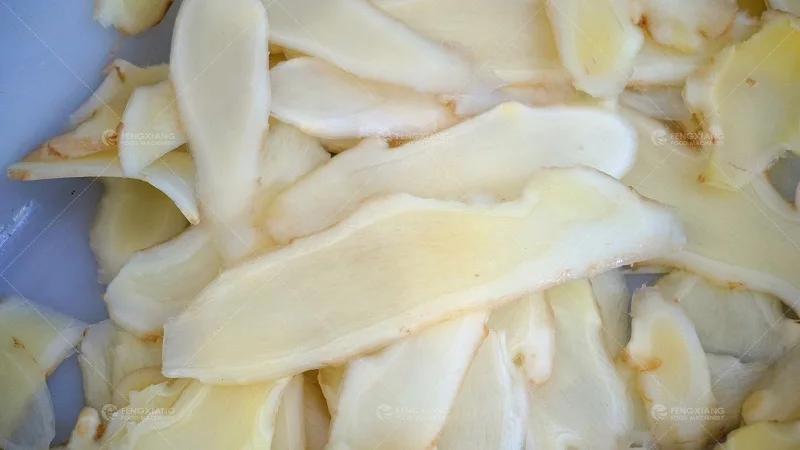 FC-315 Automatic Ginger Slicer Garlic Shallot Slicing Cutting Machine