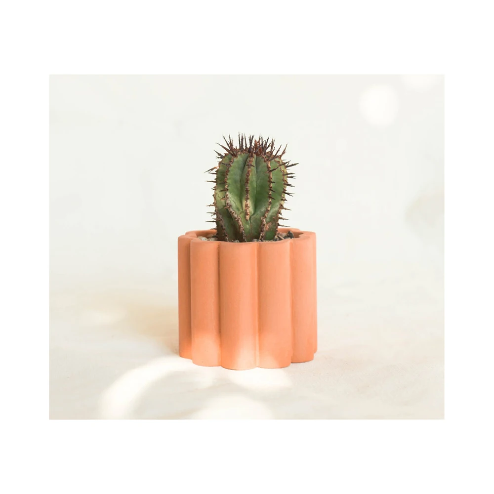 ceramic terracotta mini seed succulent clay planter mini juicy plant potted plants with artificial plant