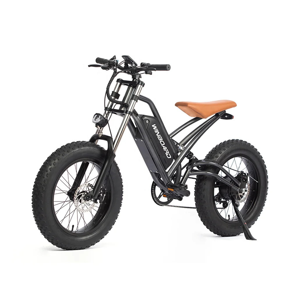Cheap Price Wholesale Customized Conversion Kit E Bikes Electric Motor Bicycle