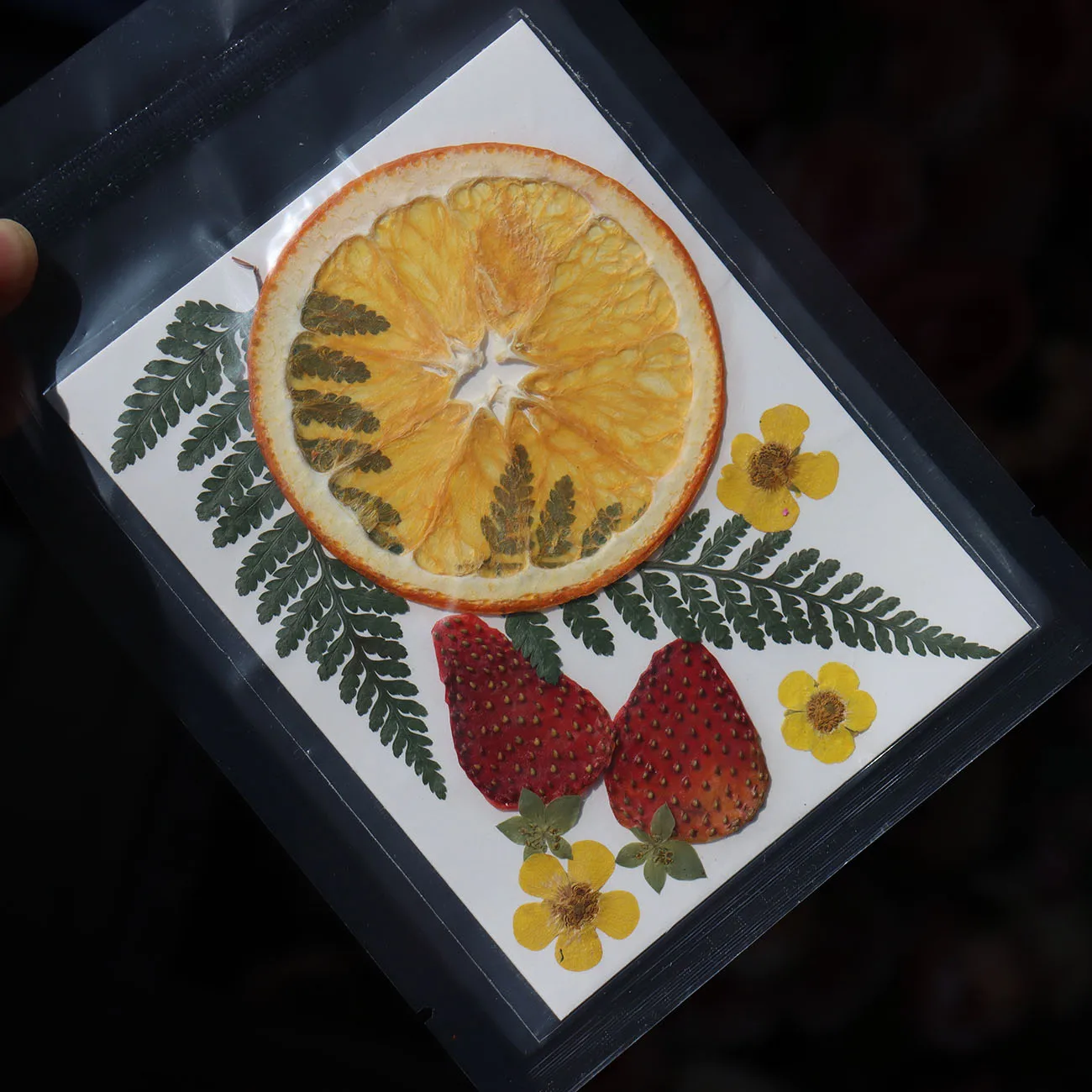 F4 New Design Real Dried Flower Embossed Fresh Fruit Sliced Material Pack Diy Bookmark Drop Glue Dried Flower Phone Case Botanic
