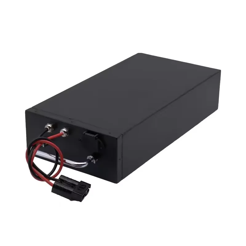 24V 36V lifepo4 48v 20ah electric bicycle lithium battery scooter power lithium battery citycoco battery for e-bike