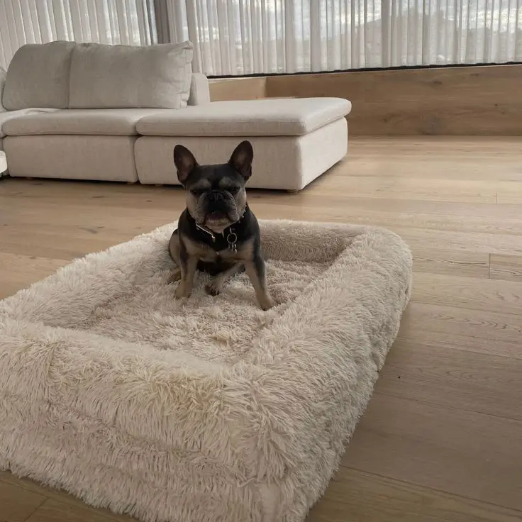 High Quality Orthopedic Pet Bed Winter Velvet Nest Cooling Feature Memory Foam Square Boucle Cover Solid Animal Dogs Cats