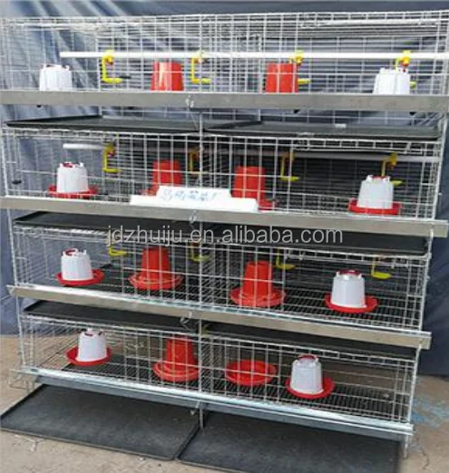ALL kinds of poultry cages for sell such as chicken cage/rabbit cage/quail cage