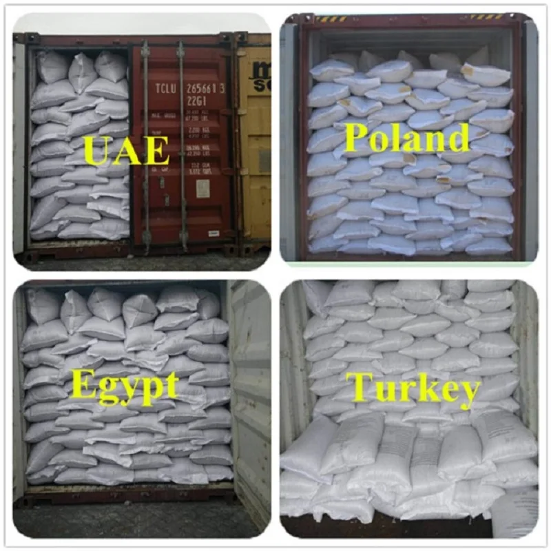 Wholesale price Raw roasted peanuts bulk wholesale blanched peanuts kernels Peeled peanut