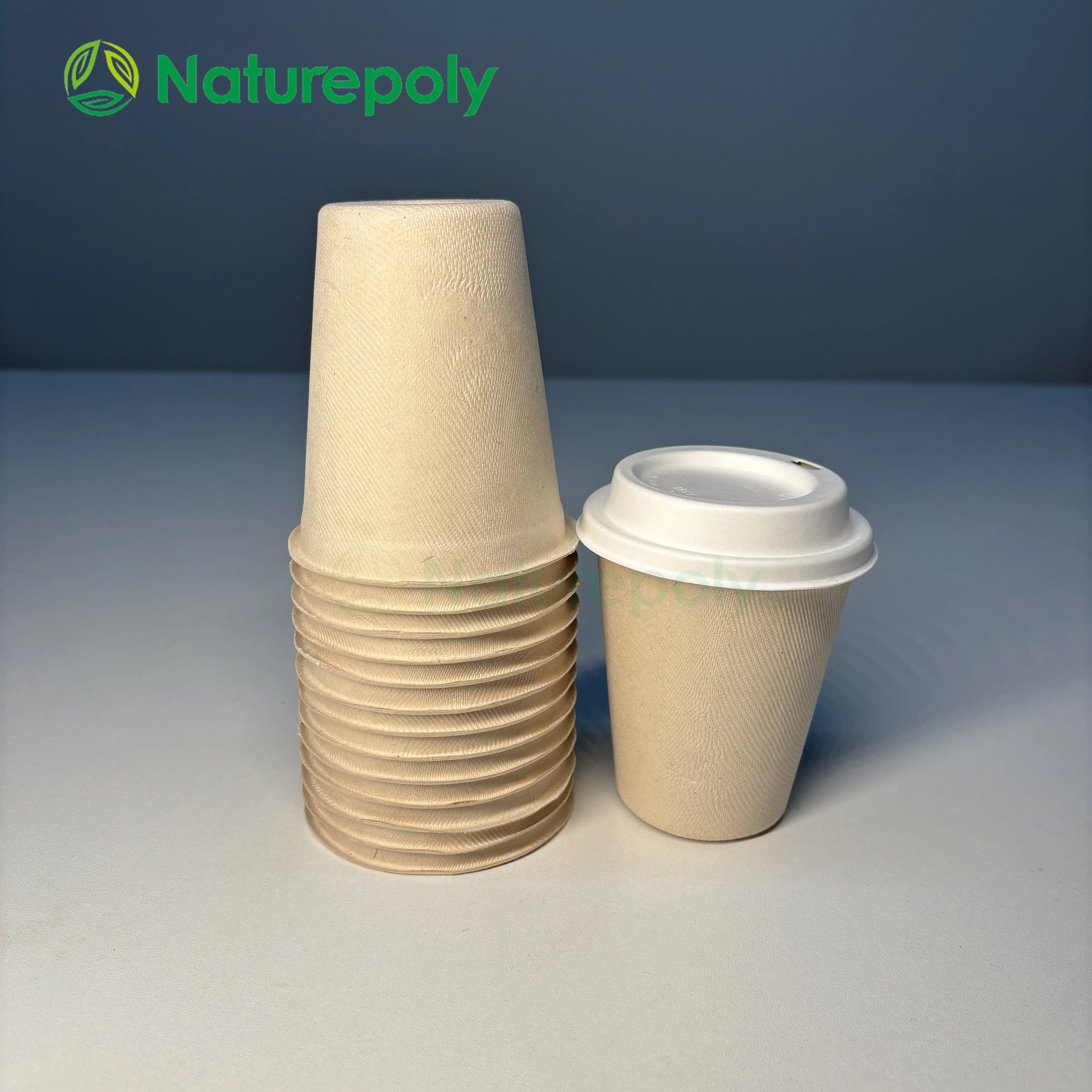 Disposable Bamboo Fiber Cup Custom Logo PLA Cotated Biodegradable Cup with Lids