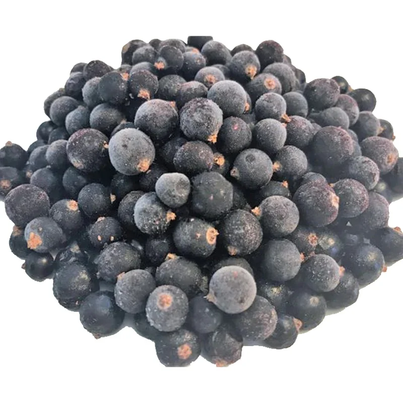 Frozen Berries Organic IQF Box Bag Packaging Frozen Fruit Black Currant