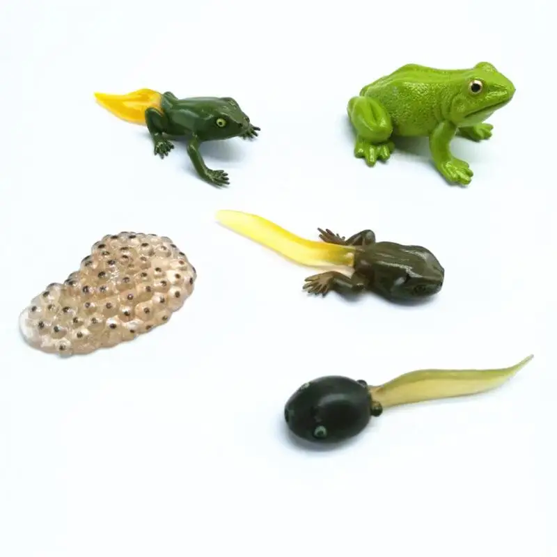 Baby Early Education Montessori Animals Toys SetS For Kids Animal Models With Cards