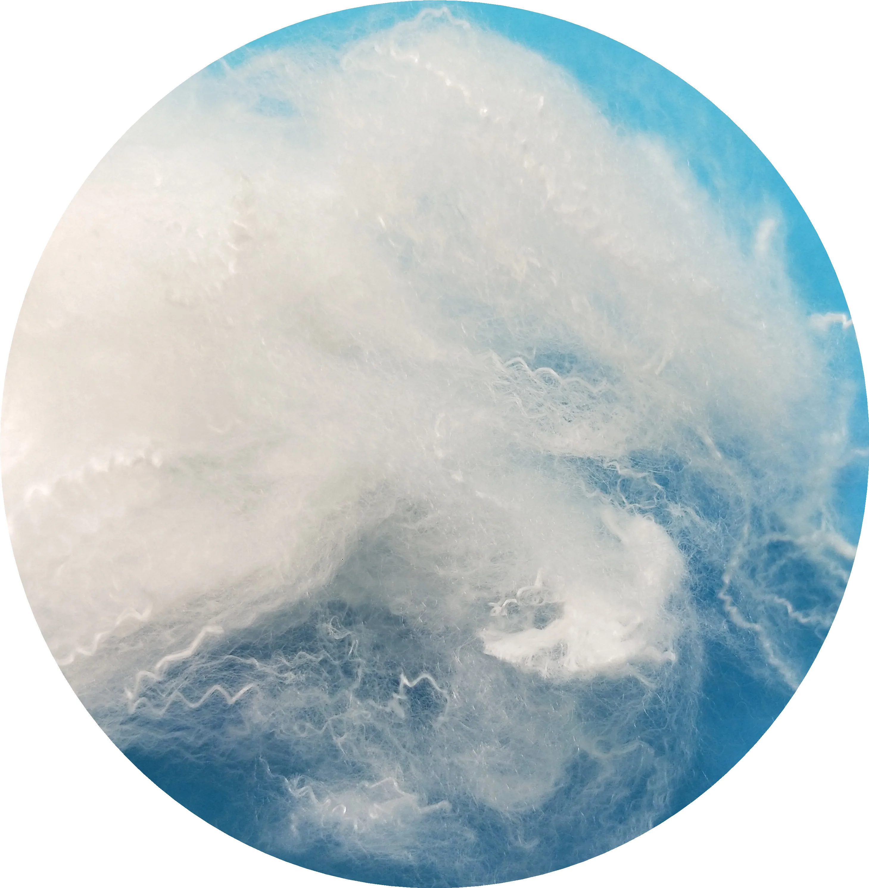 Polyester Fiber for Filling Material