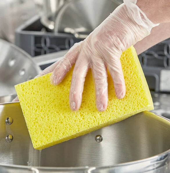 Clear Vinyl Gloves Food Grade PVC Powder- Free Disposable