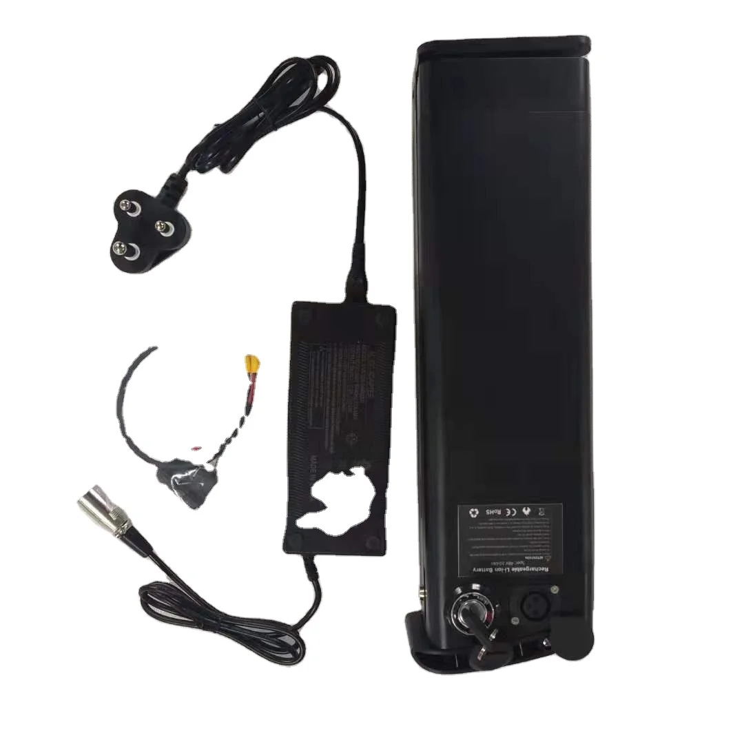 electric bike battery  48v 10.4Ah li-ion battery pack with BIS