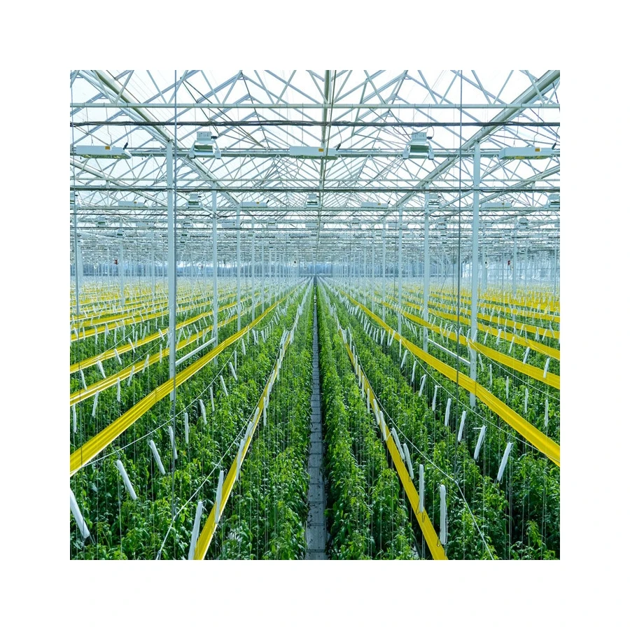 
Factory Sale Various Agricultural Tunnel Greenhouse Commercial Garden Greenhouse Flower House 