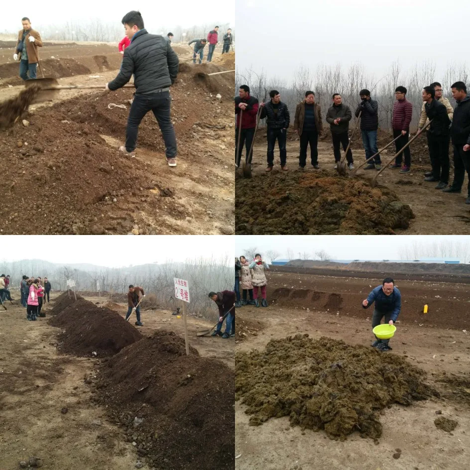 
Pw rot promoting agent production of organic fertilizer from straw sludge of cattle, sheep and horses 