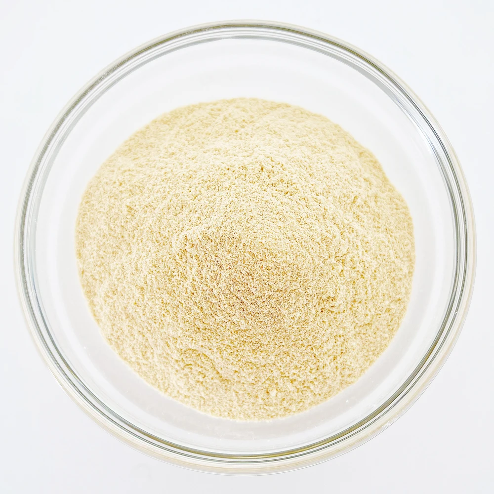 Professional Manufacture Orgain Organic Vegan Protein Powder Plant Based Protein Powder