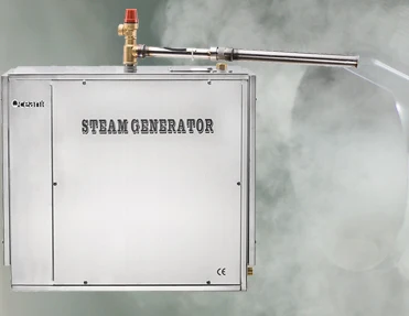 Steam generator with pipe