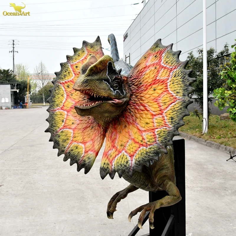 AD-RN078   Life Size Dinosaur Dilophosaurus Head For Dinosaur Exhibition