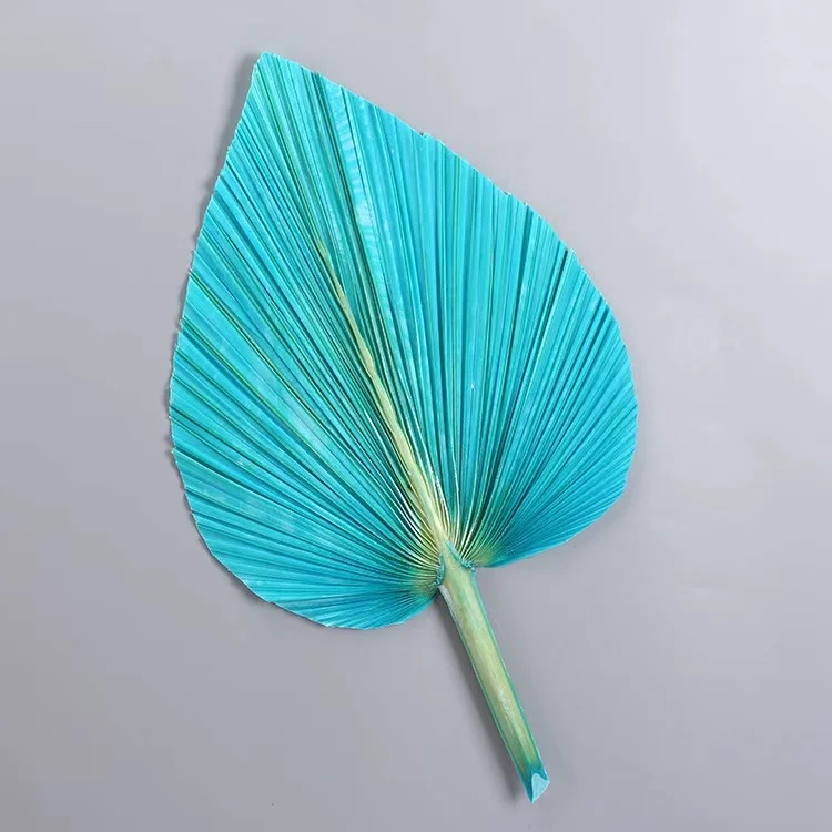palm leaf fan  (16).jpg