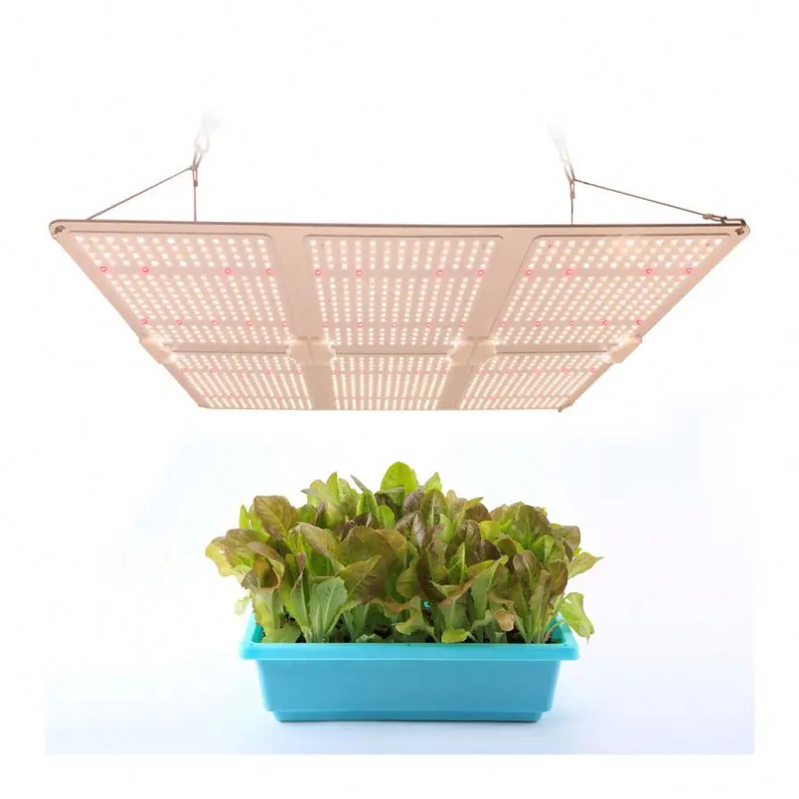 800W Daisy Chain Dimmable Full Spectrum Grow Lights With 3600Pcs Diodes, Growing Lamps For Hydroponics Greenhouse Veg And Bloom