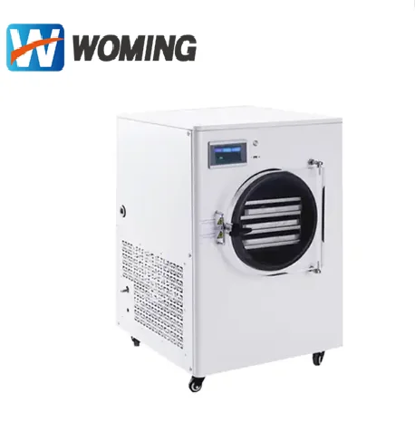 Small 0.1 m2  2KG Freeze Dryer Food Drying Lyophilizer Machine For Home Use Vacuum Freezing Dryer Fruit Vegetable Juice