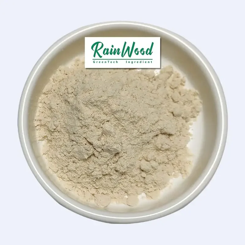 Rainwood  Nutrition Enhancers Feed Grade 98.5% L-Lysine Hydrochloride best price L-Lysine Hydrochloride Powder
