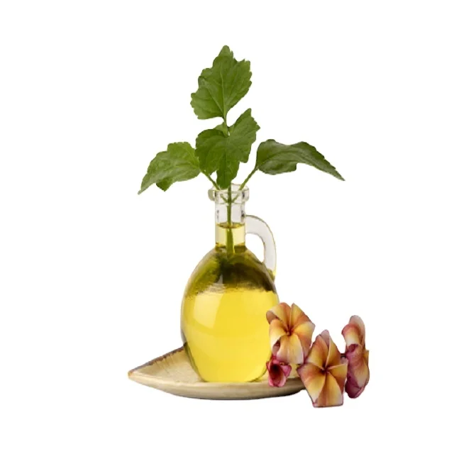 Patchouli Oil in Bulk