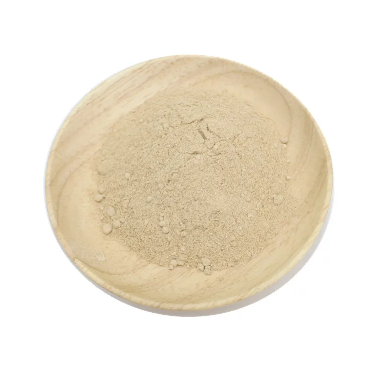 China Supply Fungal Alpha Amylase CAS 9013-1-8 Fungal Amylase Powder