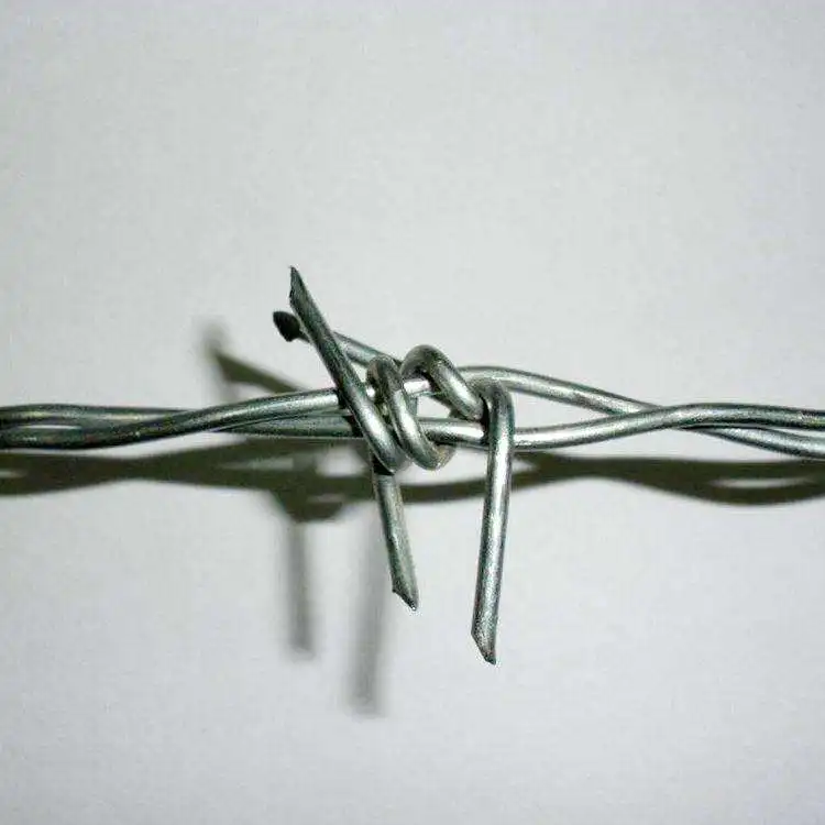 
Double Strand Barbed Wire Fencing with Low Cost 