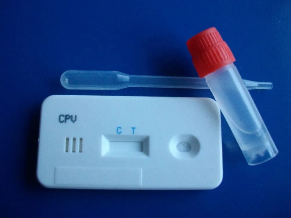 vet rapid test for dog parvovirus/canine parvovirus test kit/test parvovirus