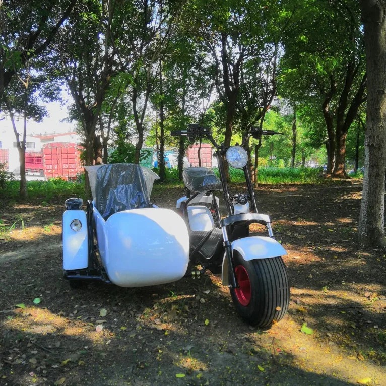 Оптовая продажа напрямую с завода быстрая мобильность трехколесный скутер Электрический велосипед боковой автомобиль