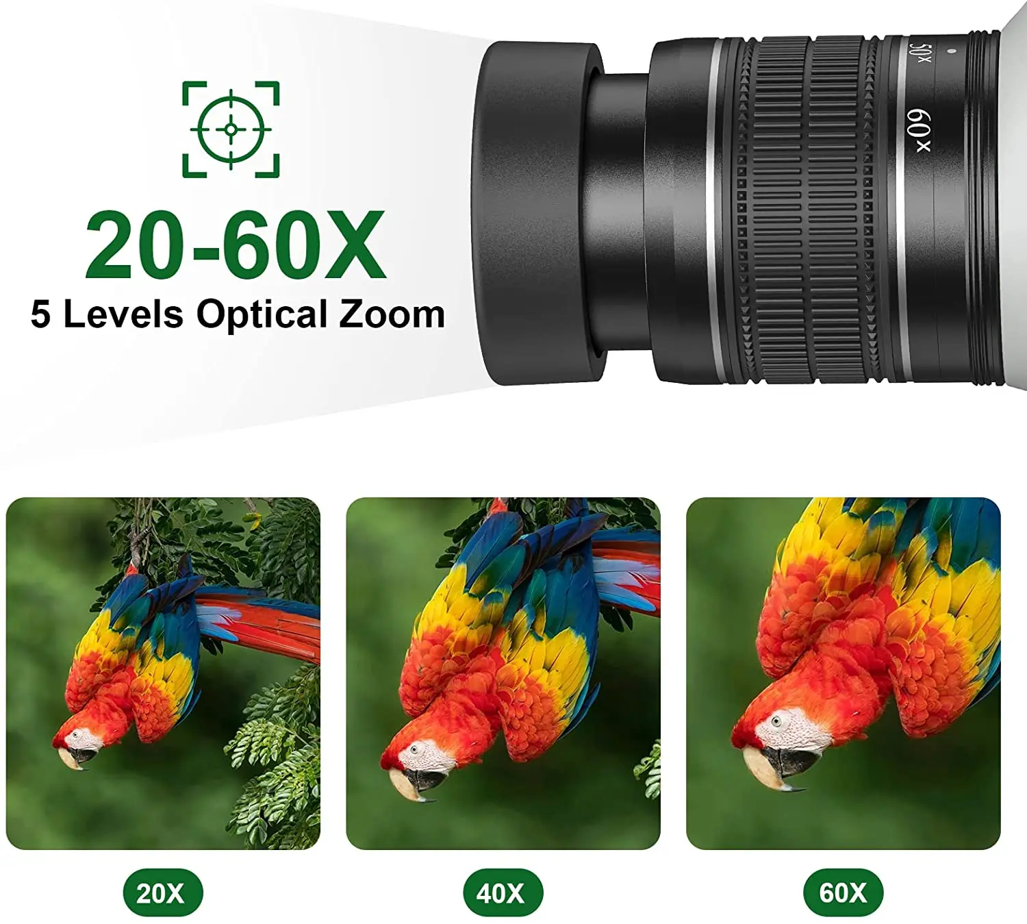 SUNCORE 20-60X80 точечная труба со штативом, сумка для переноски, двойная фокусировка и большой окуляр 24 мм-HD BAK4 точечная труба